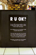 « RUOK » à l’exposition du Leclerc de Grasse (janvier 2010)