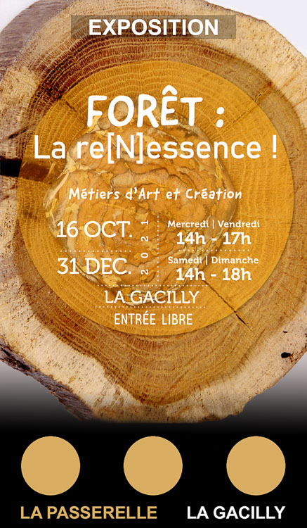 illustration affiche "Forêt : La re[N]essence !" (La Gacilly, La Passerelle)